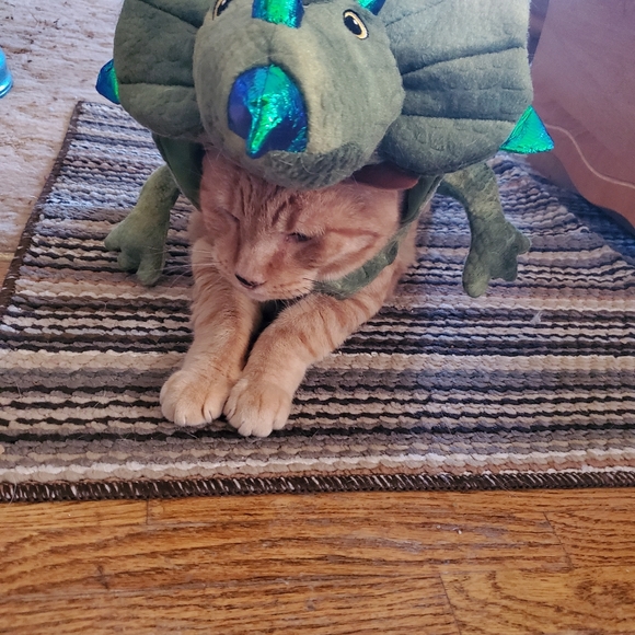 Meet your Posher, Victoria - Picture 6 of 16